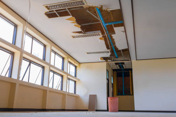 Best 24/7 water damage repair  in Lakeland Village, CA