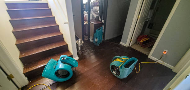 Best Carpet water damage restoration  in Lakeland Village, CA