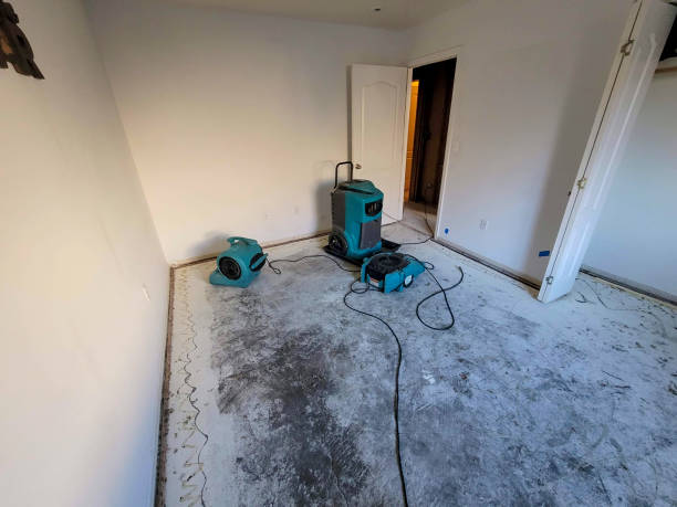 Best 24/7 water damage repair  in Lakeland Village, CA