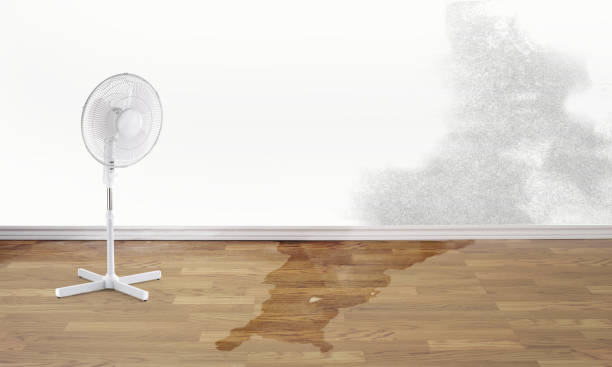  Lakeland Village, CA Water damage restoration Pros