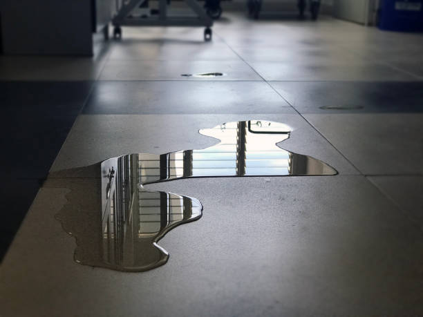 Best Water damage restoration near me  in Lakeland Village, CA