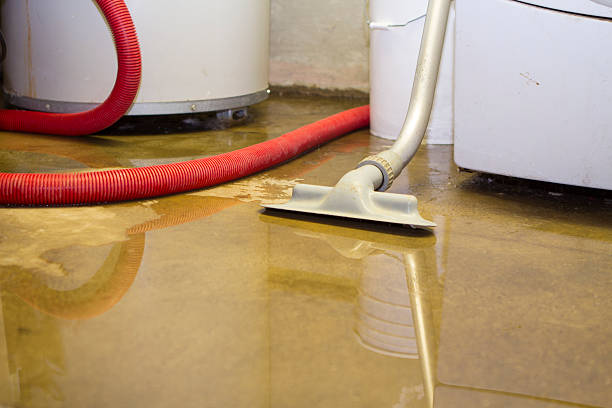 Best Flood restoration services  in Lakeland Village, CA