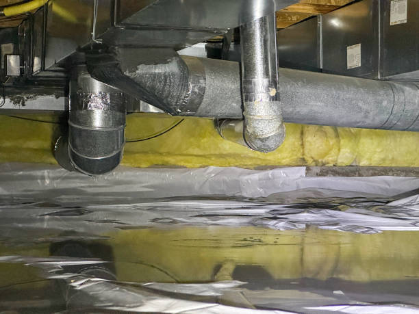 Best Emergency water extraction  in Lakeland Village, CA