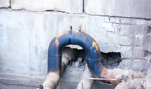 Best Mold removal after water damage  in Lakeland Village, CA