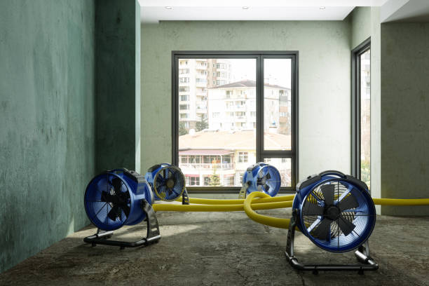 Best Sewage cleanup and water damage restoration  in Lakeland Village, CA