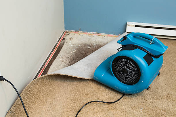 Best Water damage restoration company  in Lakeland Village, CA